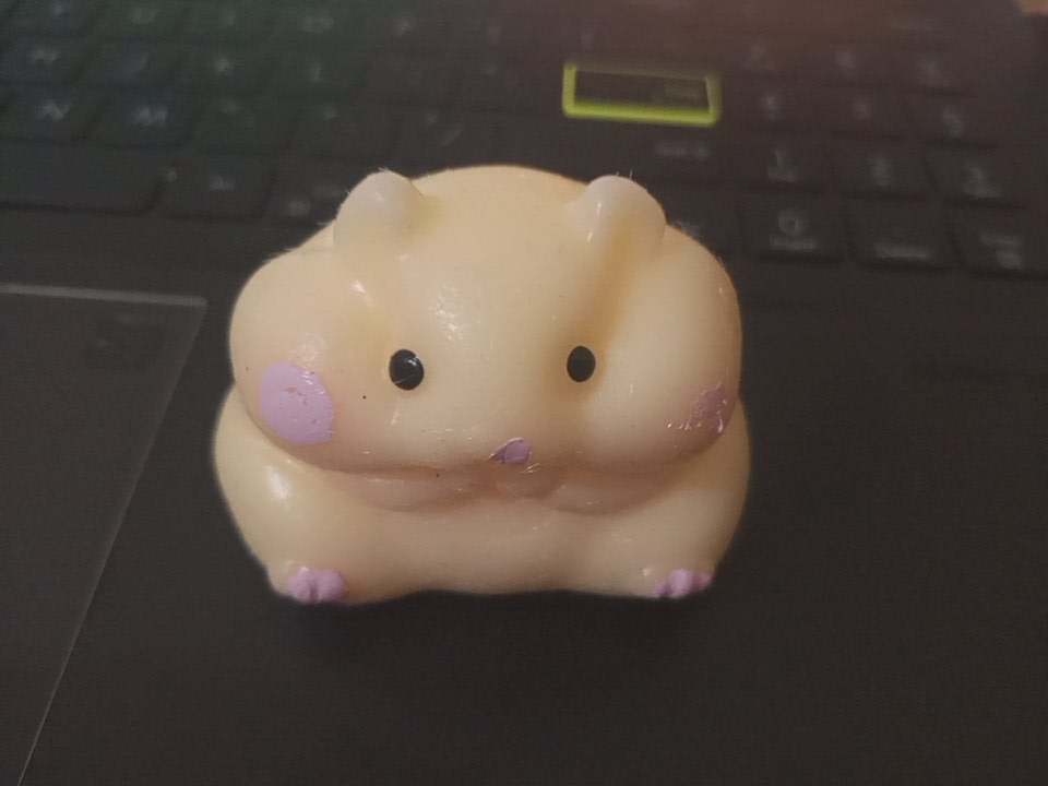 thebell1003's tweet image. Kohammy ❤️ I will get her a hat soon.. her cheeks peeling off bc I keep squishing her