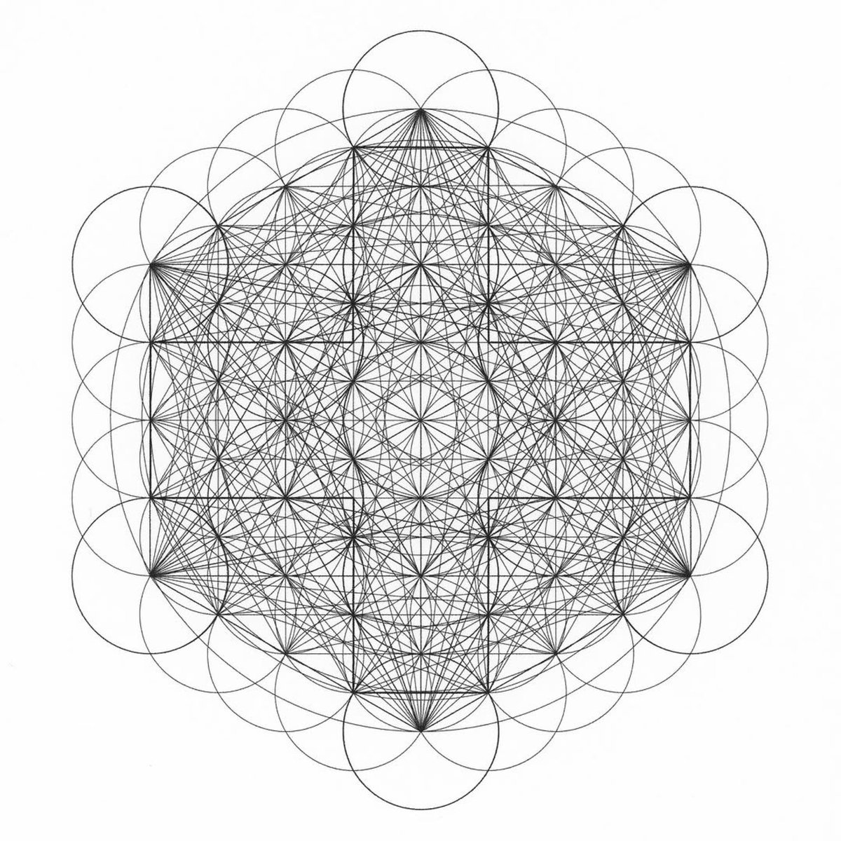 freak0fnature0's tweet image. 