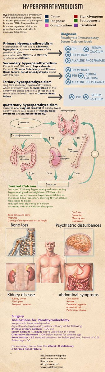drsthanus's tweet image. A comprehensive overview of Hyperparathyroidism, a condition characterized by excessive parathyroid hormone (PTH) production due to overactive parathyroid glands.
secureserver.net/?isc=PLPPT0200…