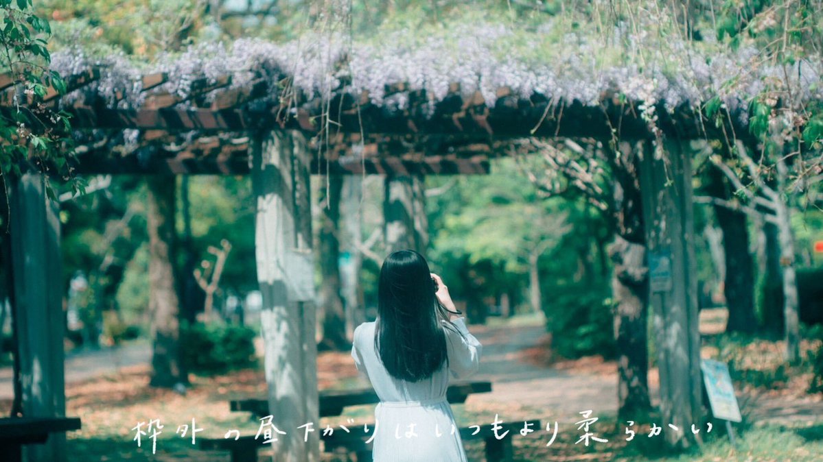 327__723's tweet image. ひとり旅、