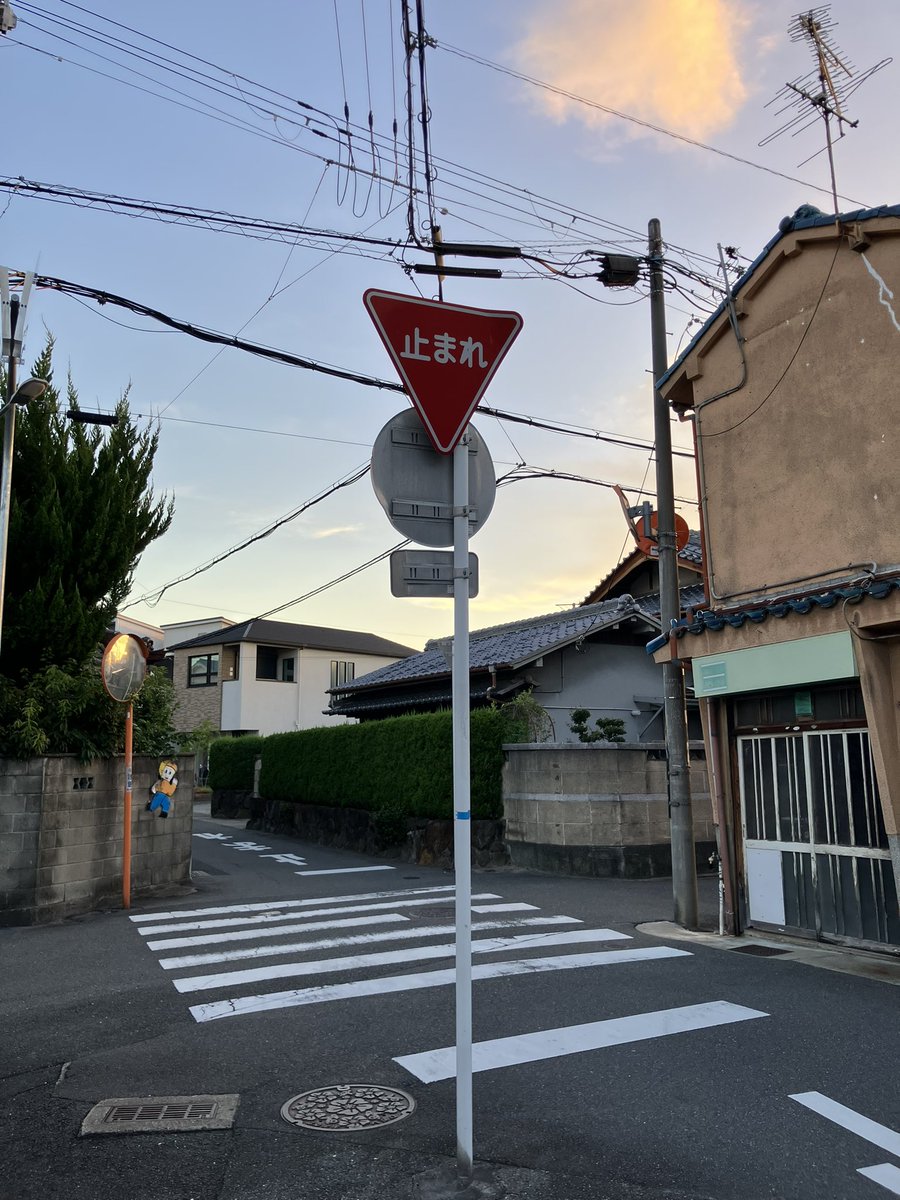 えりんぎ えりんぎ🌈 (@sasavich1984) / Posts / X