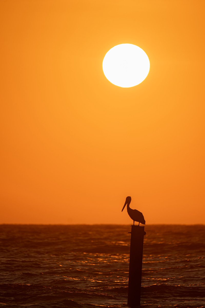 Future_Camping's tweet image. God’s morning