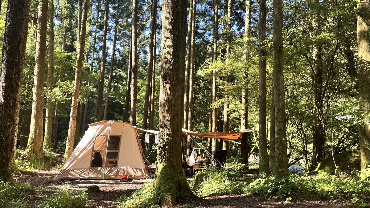 y_tkmt's tweet photo. FUJIYAMA 泉の��　CAMPING FIELD https://t.co/MaqmkJruJN