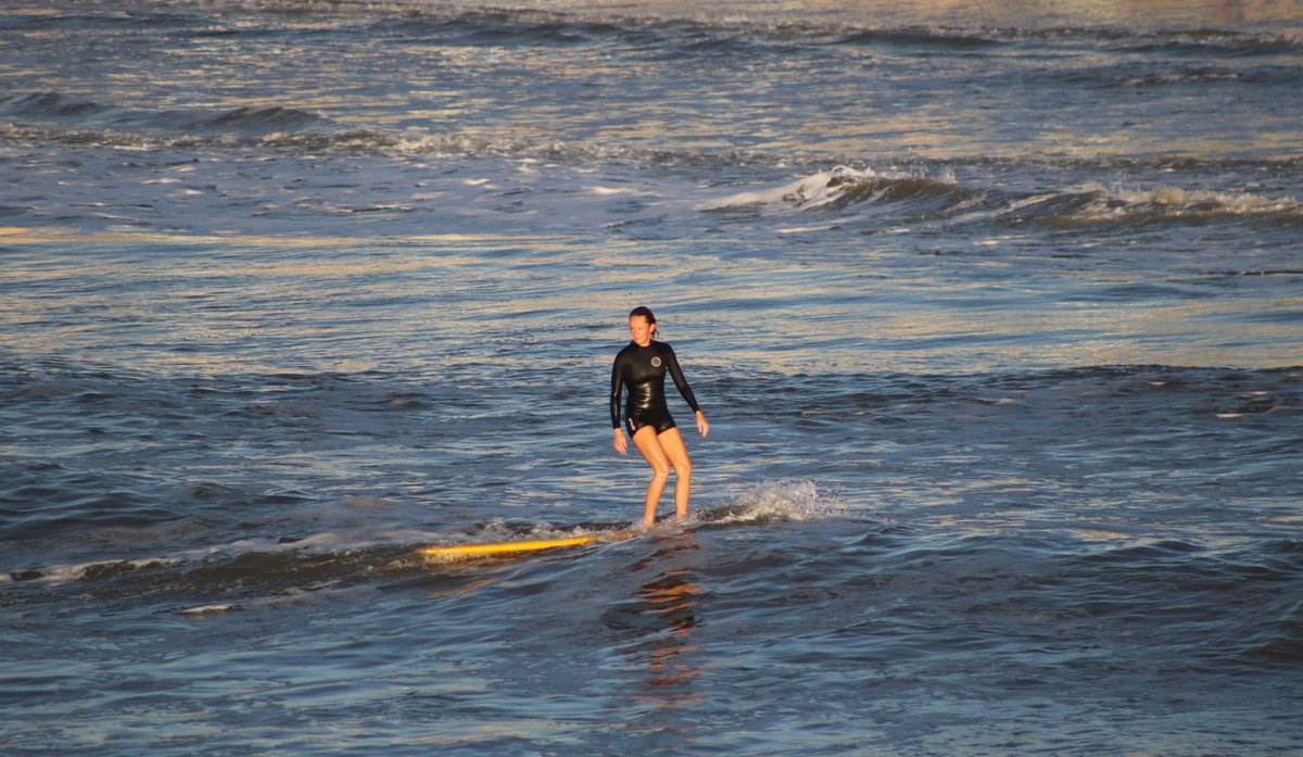 Folly Beach tweet media