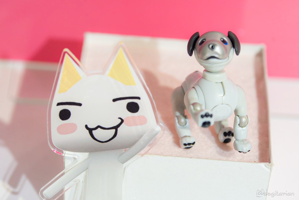 あやねこオーダーページ あやねこ (@degitarian) / X