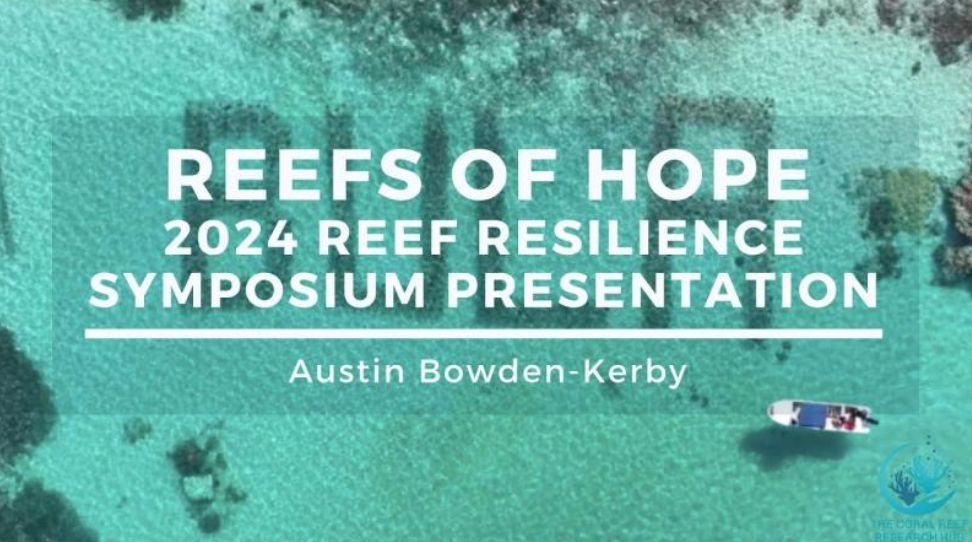 reef_research's tweet image. REEFS OF HOPE - Reef Resilience Symposium Presentation - Nature Based Coral Focused Climate Change (Austin Bowden-Kerby)
View video here: youtu.be/S6RTJUW_fxs
In this third follow-up video we hear more about the inspiring Reefs of Hope project lead by Austin Bowden-Kerby out…