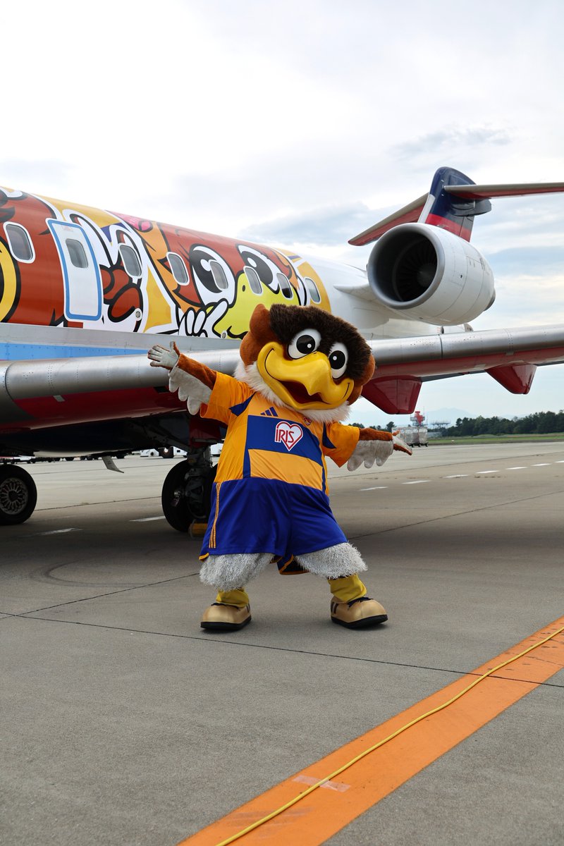 IBEX_promotion's tweet image. 7/26(土) ベガルタ仙台ジェットのお披露目を開催しました！

当日仙台空港には森山監督やベガッ太も駆けつけてくれました🦅

クラブマスコット ベガッ太、ルターナのキュートな顔が全国の空へ✨これから全国13路線で運航してまいります。

皆さまのご搭乗をお待ちしております✈️

#VEGALTA