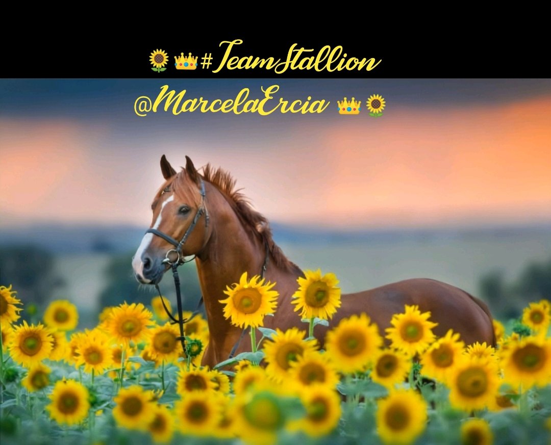 🕉MARCE🐉⚖ #MarceTeAyuda🔮#MarceLive🔄 Meme y Popi (@marcelaercia) on Twitter photo •┈৩✿SAƬURƊAƳ ƓAIƝ✿৩┈•
🌈<a href="/doc_mazz/">Doc Mazz-Frankie</a>
🌻<a href="/italianostyle1/">Frankie *D*</a>
🌻<a href="/GRAHAM15583/">🅶🆁🅰🅷🅰🅼</a>
🌻<a href="/DianeElQueen/">🌹Diane🌹</a>
🌻<a href="/R1_Adv/">Ridwan R1🇮🇩</a>
🌻<a href="/tnmuda/">Tn Muda</a>
🌻<a href="/Oce_2520/">OmEr</a>
🌻<a href="/MarcelaErcia/">🕉MARCE🐉⚖ #MarceTeAyuda🔮#MarceLive🔄 Meme y Popi</a>
<a href="/PriSilSt/">🤍 SILVI 🤍🤍🤍</a>
<a href="/4Usmn/">𝓡𝓪𝓷𝓪 𝓤𝓼𝓶𝓪𝓷</a>
<a href="/BrettMGWV/">brett</a>
<a href="/Spencerjames211/">Spencer James #GAINWITHPETAL #TMPETAL #Teamspirit</a>
<a href="/FlorMeninnaa/">Regina 🇧🇷🇪🇸@Juanzemger</a>
<a href="/ProximalK58/">Khan</a>
<a href="/lqlql0/">amal</a> <a href="/Baloch_786_/">❣️ AB Zehri ❣️</a>
<a href="/SmartMom_1/">⋆★ 🌹𝒮𝓂𝒶𝓇𝓉 𝑀❤𝓂 🌹 ★⋆</a>
<a href="/bluea125/">BlueA125</a>
<a href="/lumpie125/">lumpie125</a> •┈৩✿SAƬURƊAƳ ƓAIƝ✿৩┈•
🌈<a href="/doc_mazz/">Doc Mazz-Frankie</a>
🌻<a href="/italianostyle1/">Frankie *D*</a>
🌻<a href="/GRAHAM15583/">🅶🆁🅰🅷🅰🅼</a>
🌻<a href="/DianeElQueen/">🌹Diane🌹</a>
🌻<a href="/R1_Adv/">Ridwan R1🇮🇩</a>
🌻<a href="/tnmuda/">Tn Muda</a>
🌻<a href="/Oce_2520/">OmEr</a>
🌻<a href="/MarcelaErcia/">🕉MARCE🐉⚖ #MarceTeAyuda🔮#MarceLive🔄 Meme y Popi</a>
<a href="/PriSilSt/">🤍 SILVI 🤍🤍🤍</a>
<a href="/4Usmn/">𝓡𝓪𝓷𝓪 𝓤𝓼𝓶𝓪𝓷</a>
<a href="/BrettMGWV/">brett</a>
<a href="/Spencerjames211/">Spencer James #GAINWITHPETAL #TMPETAL #Teamspirit</a>
<a href="/FlorMeninnaa/">Regina 🇧🇷🇪🇸@Juanzemger</a>
<a href="/ProximalK58/">Khan</a>
<a href="/lqlql0/">amal</a> <a href="/Baloch_786_/">❣️ AB Zehri ❣️</a>
<a href="/SmartMom_1/">⋆★ 🌹𝒮𝓂𝒶𝓇𝓉 𝑀❤𝓂 🌹 ★⋆</a>
<a href="/bluea125/">BlueA125</a>
<a href="/lumpie125/">lumpie125</a>