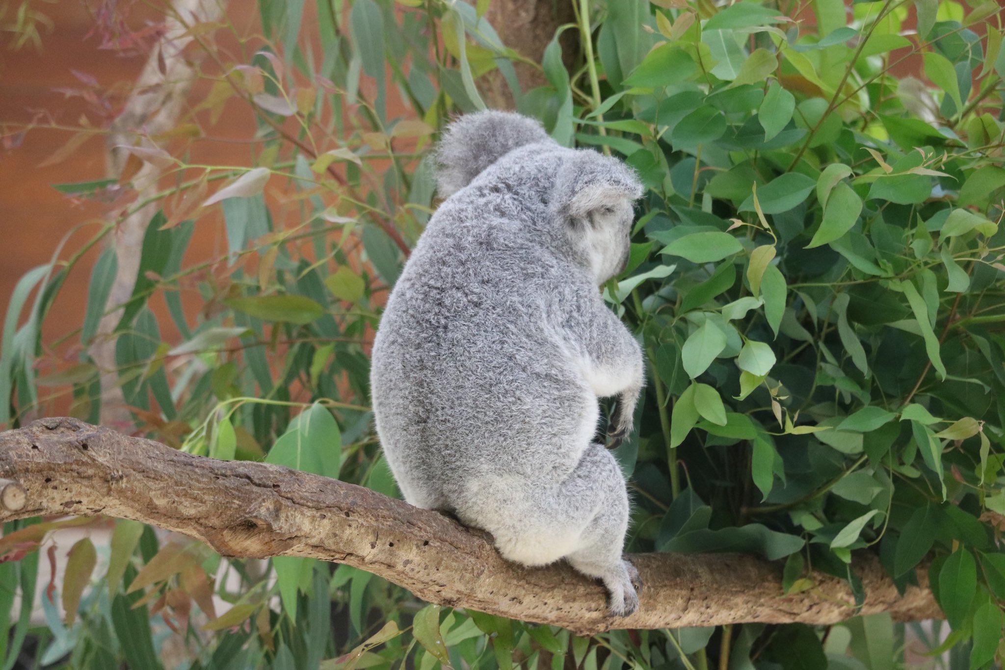 動物と共に…… 4個セット 動物除け ソーラー アニマル ブロック H-501 動物撃退