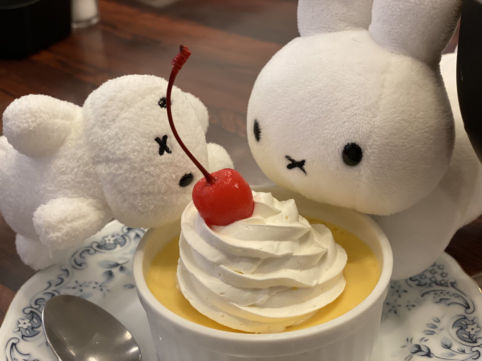 野生のうさぎ on X: 