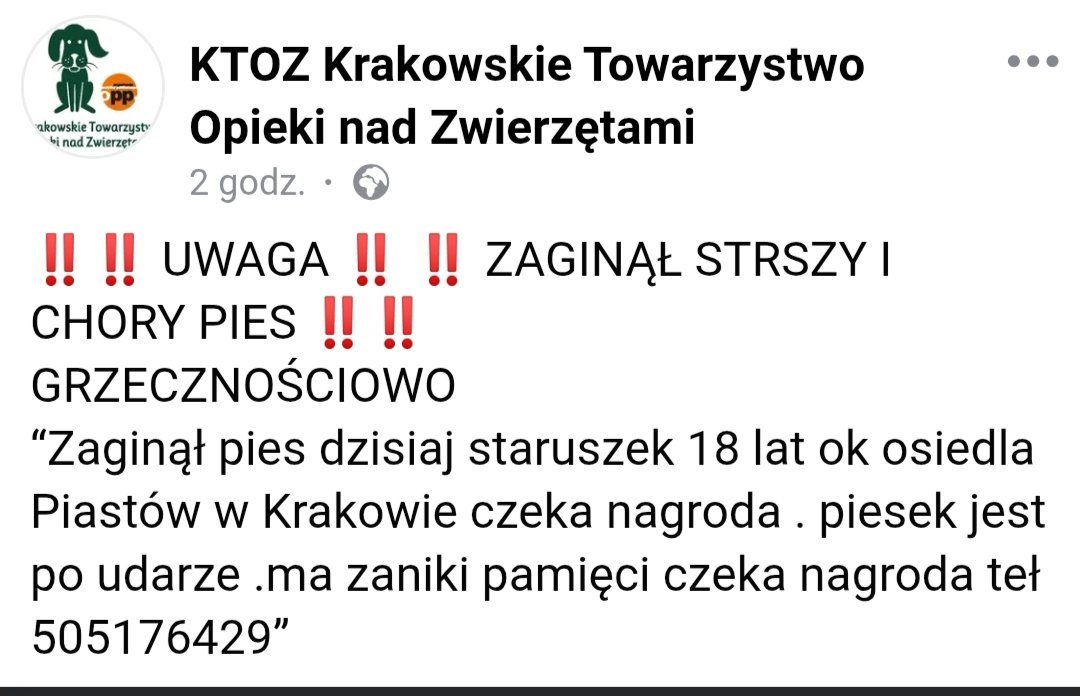 adam_to_ja's tweet image. Na FB jest takie ogłoszenie⬇️. W Krakowie zaginął starszy pies. Może akurat ktoś coś będzie wiedział.