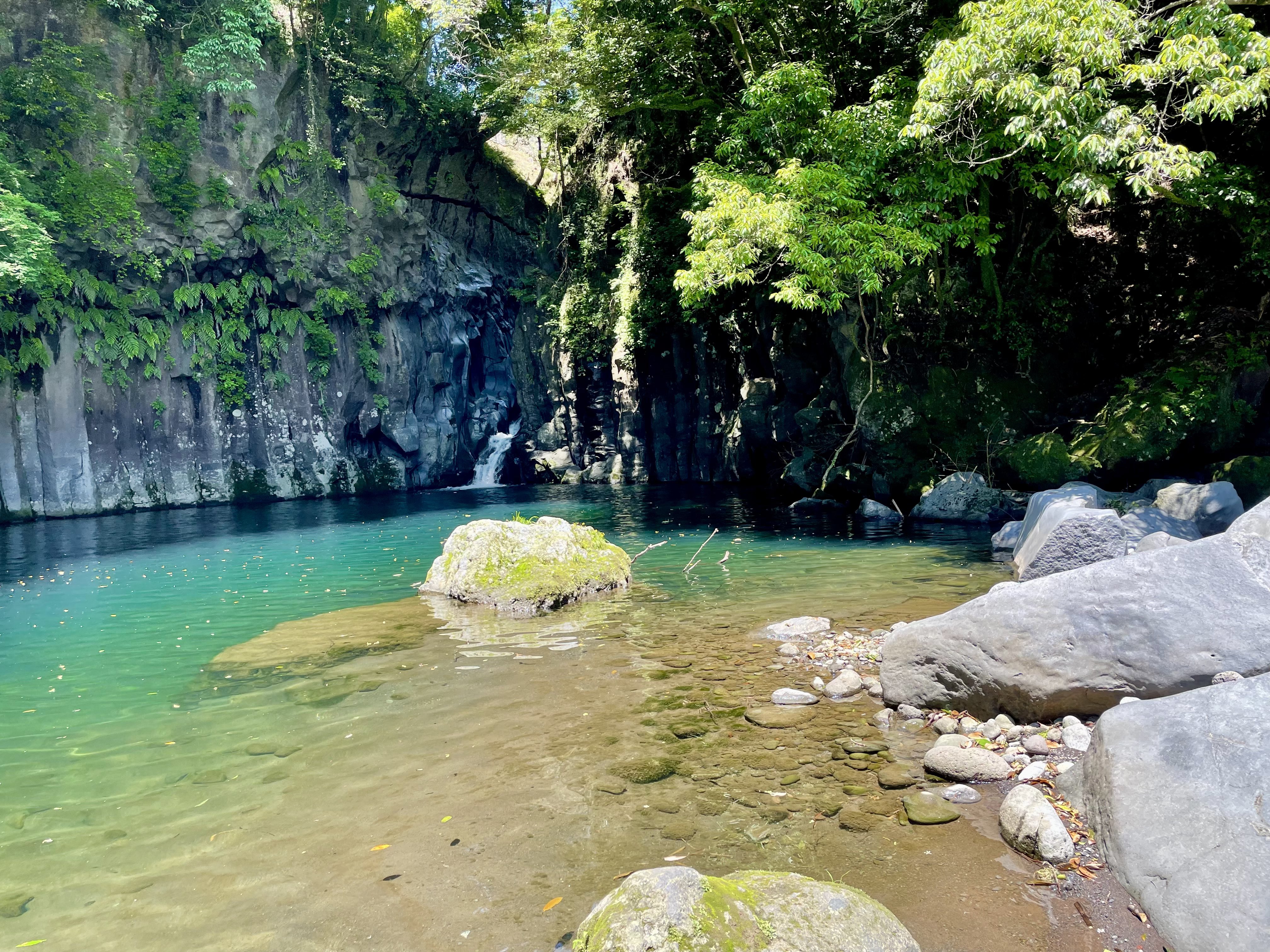 Alice_Chocolat on X: 