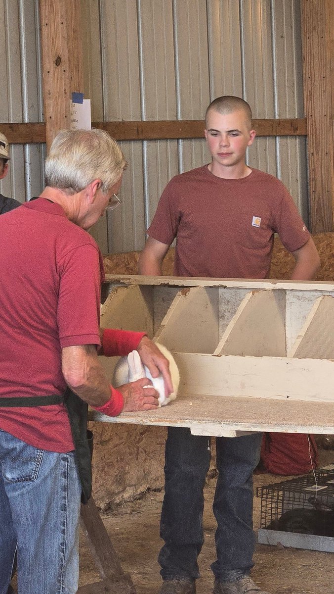 toddburrus2's tweet image. Great day at Morgan County fair rabbit show!