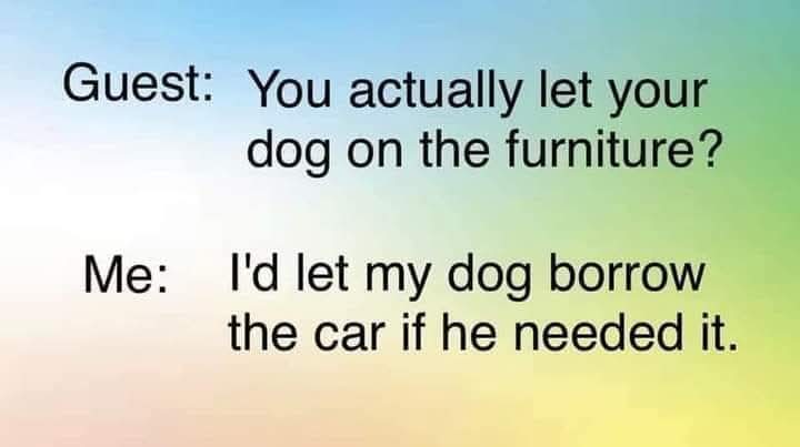 Trust that dog 100%