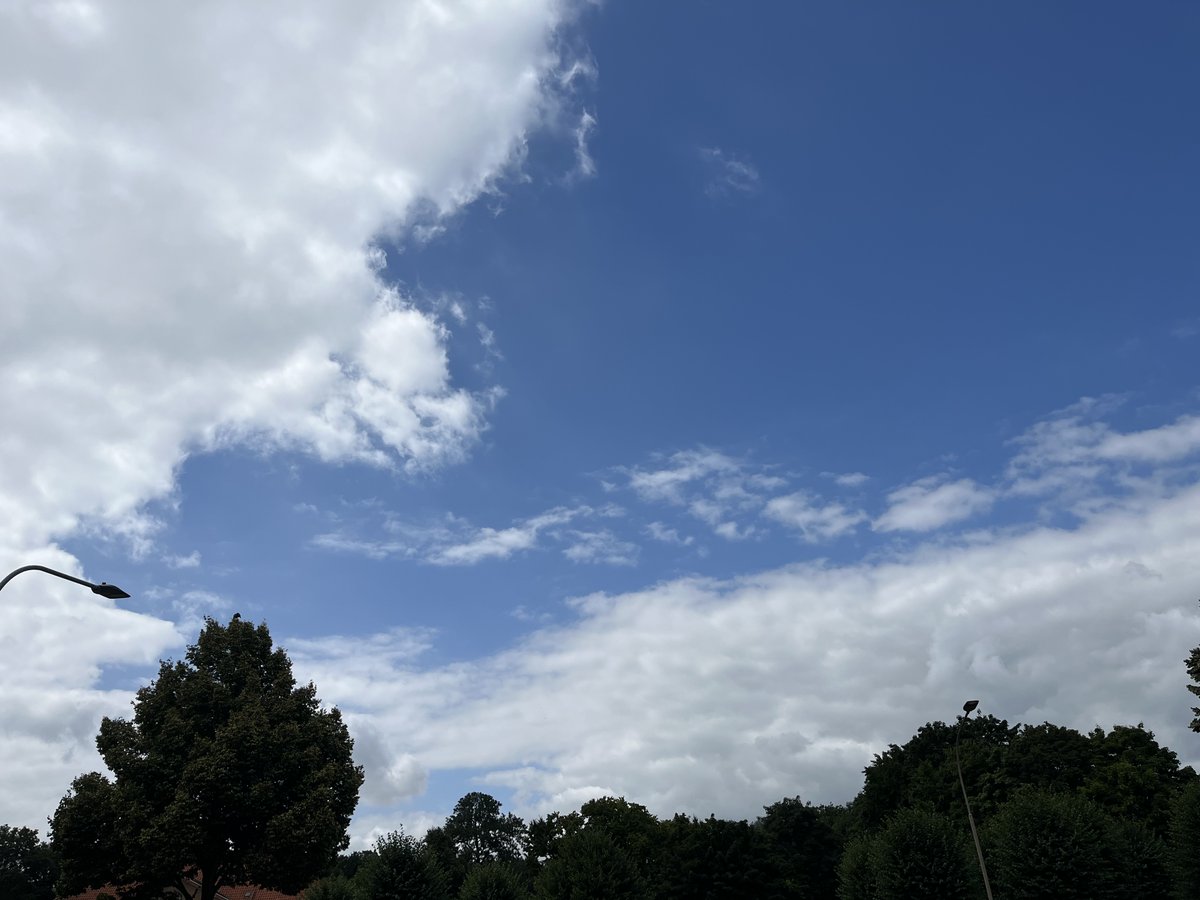DerikiAlad83481's tweet image. Bi pîna Ewr nayê dirûtin. @Aladin Dêrikî.26.07.2025