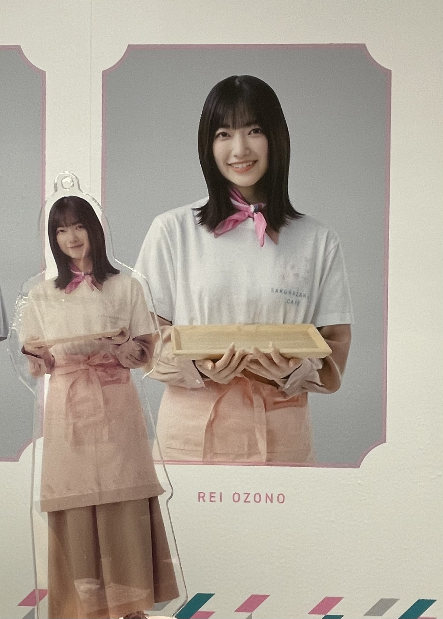 櫻坂46 Cafe カフェ 個別タンブラー 大園玲 Amazon.co.jp: 櫻坂46 Cafe