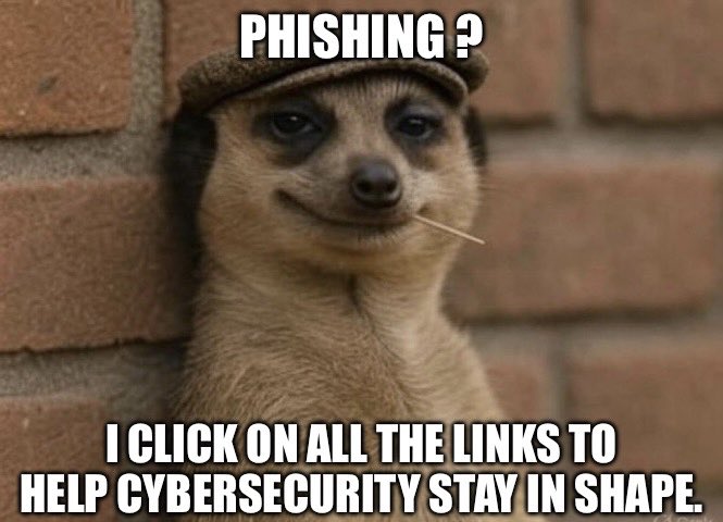 Keeping cybersecurity in shape — one bad click at a time!