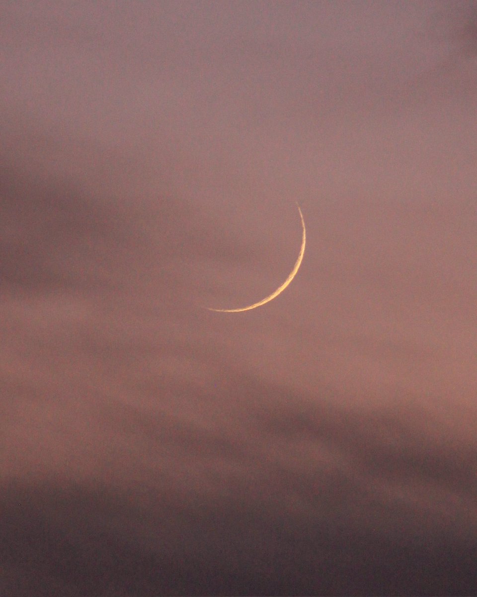 hiy_twinkle's tweet image. 宵夏に新月から二日目の繊月みつけた