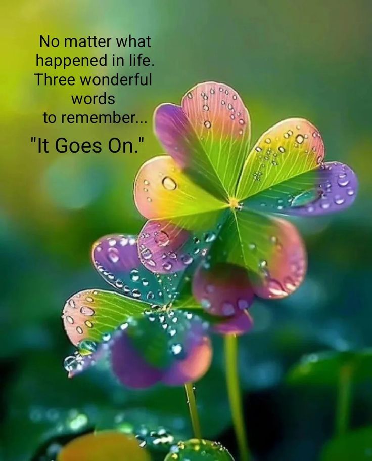 Good morning, Twitter family! Happy Saturday! You'll have so many ups and downs in life. But no matter what happens, life goes on. You'll be alright. And when you're down, it may seem like it won't get better, but it will. Have a wonderful day. Much love to you all. Always.💜🌼☮️