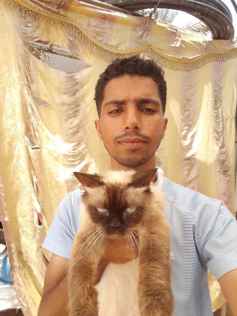 Dr_Mustafa5's tweet image. MY CAT MIKO AND I ARE STILL ALIVE❤🐈
