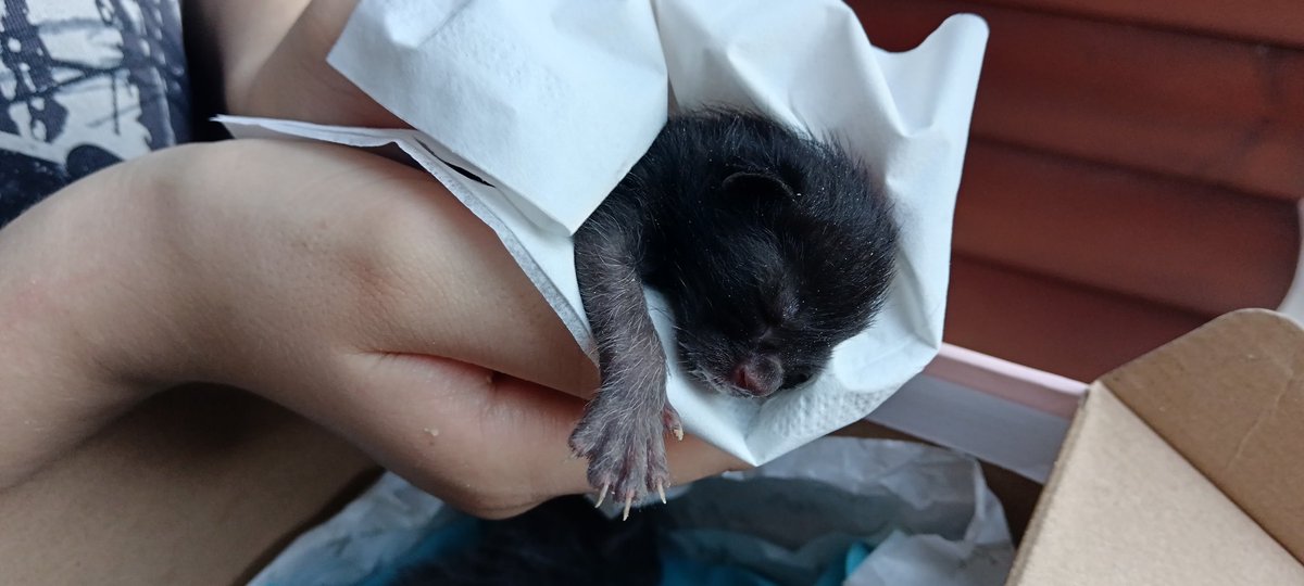 highcuriosity 😼🚲🌱⛰️🌈 tweet media