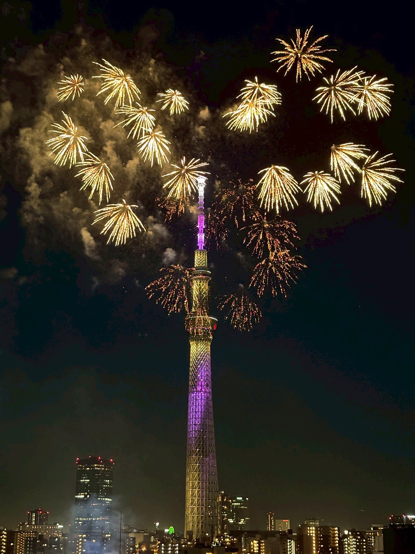 ここあページ ここあ🐰코코아 (@kokoa.1003) · Instagram photos and Reels