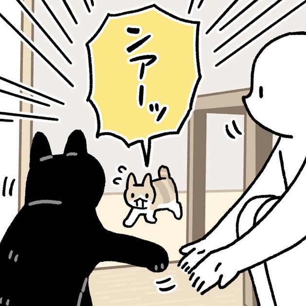 @keipanda0210 ろんさんと一緒にしゃがんでいると、ほんとに「おやつもらってるー❗️」って言っているかのような勢いで何か言いながら猛ダッシュしてくるので毎回笑ってしまいます🤭 