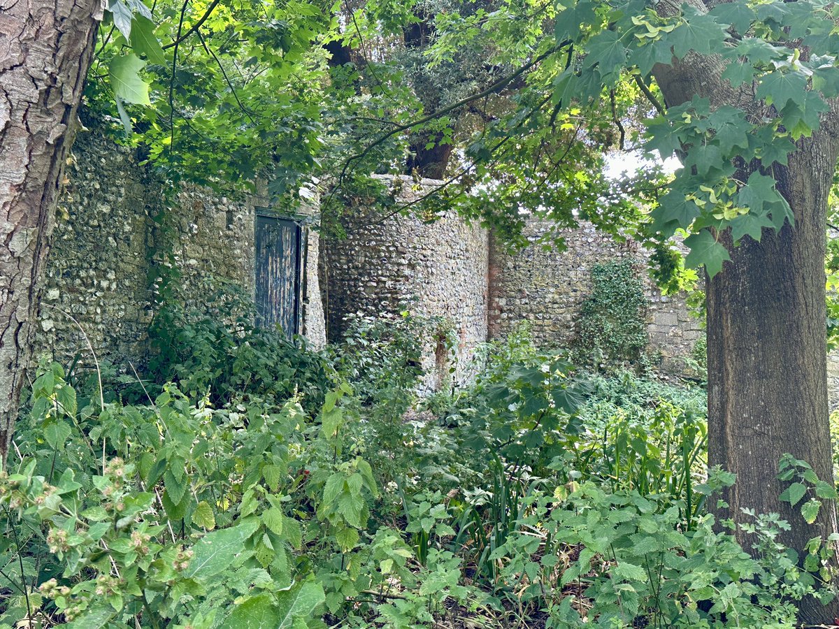 More photos of the Roman wall at Chichester for #RomanSiteSaturday 
#RomanBritain #WestSussex