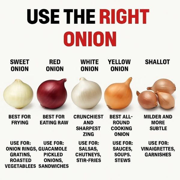 HowLearn101's tweet image. 