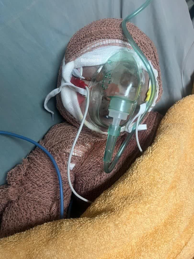 hgh146831's tweet image. 🔹 نه دانشمند بود، نه نظامی بود، هنوز زبان به سخن هم باز نکرده بود.
#لشگر_فرشتگان_ایران