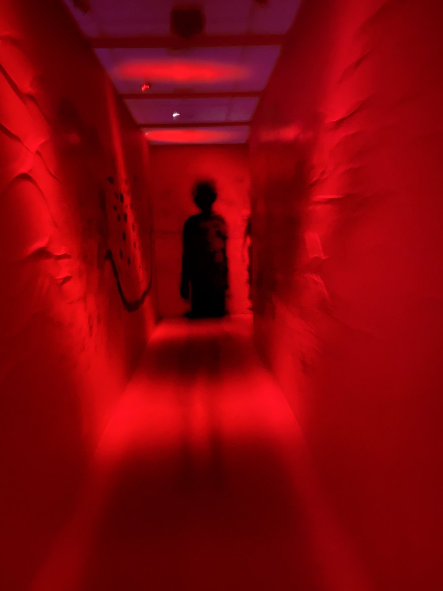 Tora_takk's tweet image. 1999展行ってきた🪬