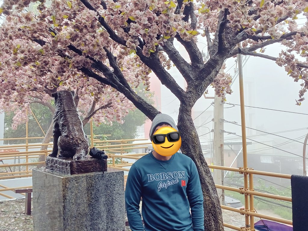 "Our greatest glory is not in never falling, but in rising every time we fall."

- Confucius. 

#saturdayvibes