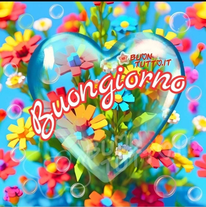 Annamaria (@annamarylight) on Twitter photo <a href="/MariaGiuliaDelf/">Maria Giulia</a> Grazie carissima Maria Giulia per i augurigraditissimi. Un abbraccio 🤗 a te e giornata di luce e gioia <a href="/MariaGiuliaDelf/">Maria Giulia</a> Grazie carissima Maria Giulia per i augurigraditissimi. Un abbraccio 🤗 a te e giornata di luce e gioia
