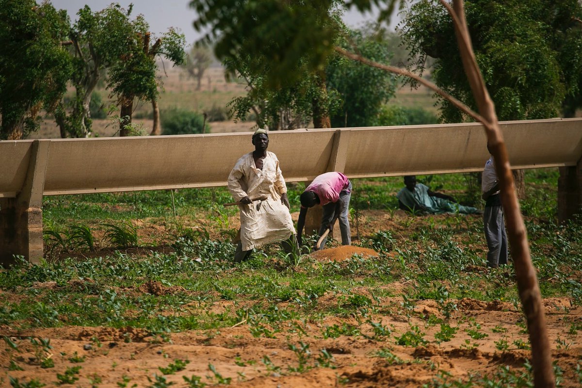 etherisc's tweet image. 🌧️ NGOs like the @Lemonade_Inc rely on Etherisc's platform for at-cost insurance in Africa.
Our 2024 LCCC project paid out instantly to thousands of farmers.
Join us to scale impact! #NGOs #ParametricInsurance