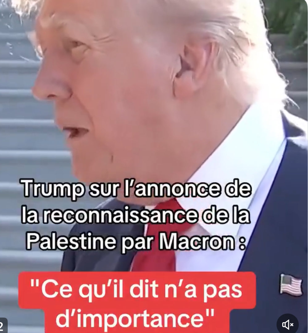 ibalkany's tweet image. ‼️Élu meilleur "commentateur" TV‼️
- Brièveté du commentaire...
- Pertinence du "punch"...
- Indifférence à l'inutile...
- Constat de l'indifférence mondiale...
Bravo !!!
#Macron #Trump #Palestine