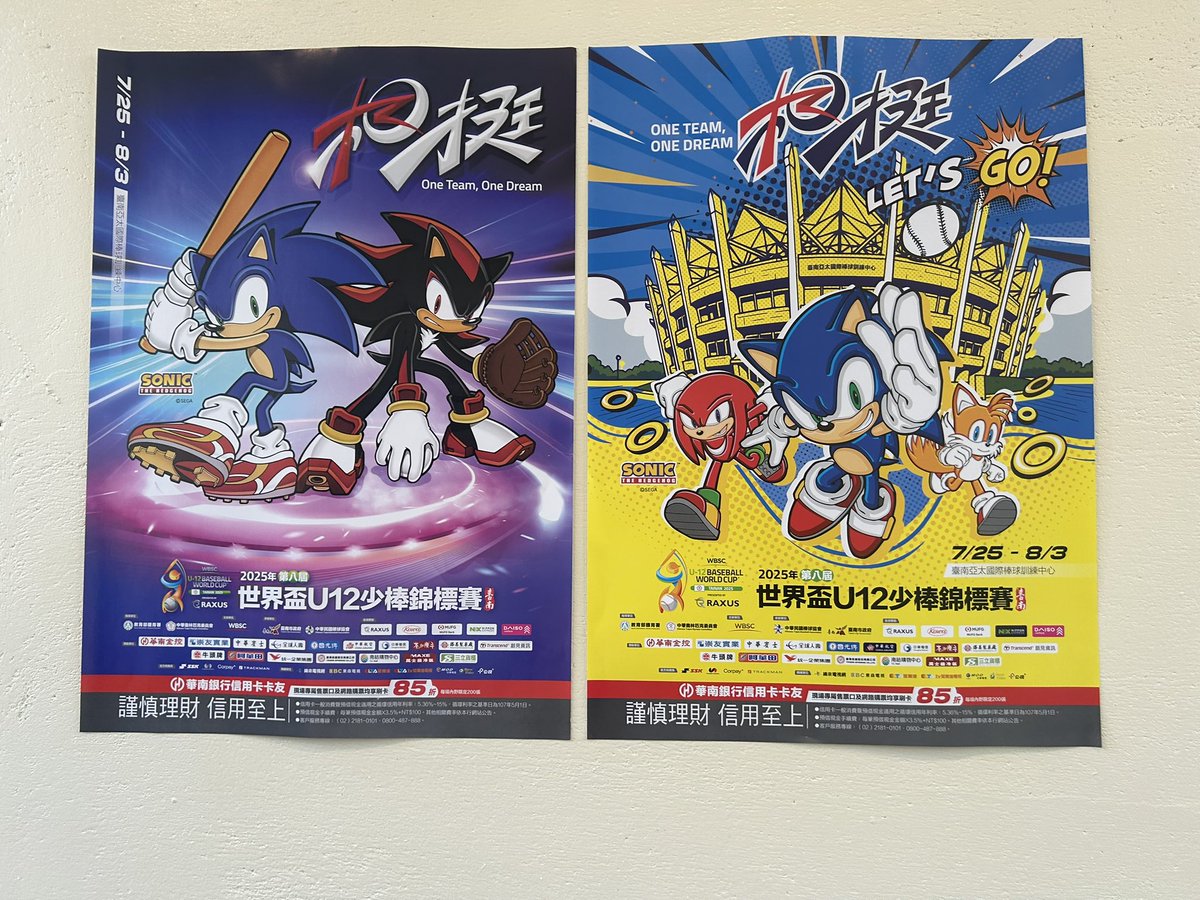 sonadowgarugiro's tweet image. #SonicTheHedgehog
#Taiwan
#ShadowTheHedgehog
#amyrose