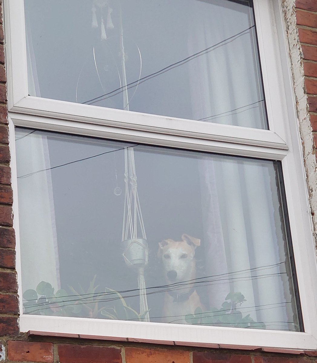 grumpyandrew's tweet image. What could Max be waiting for?