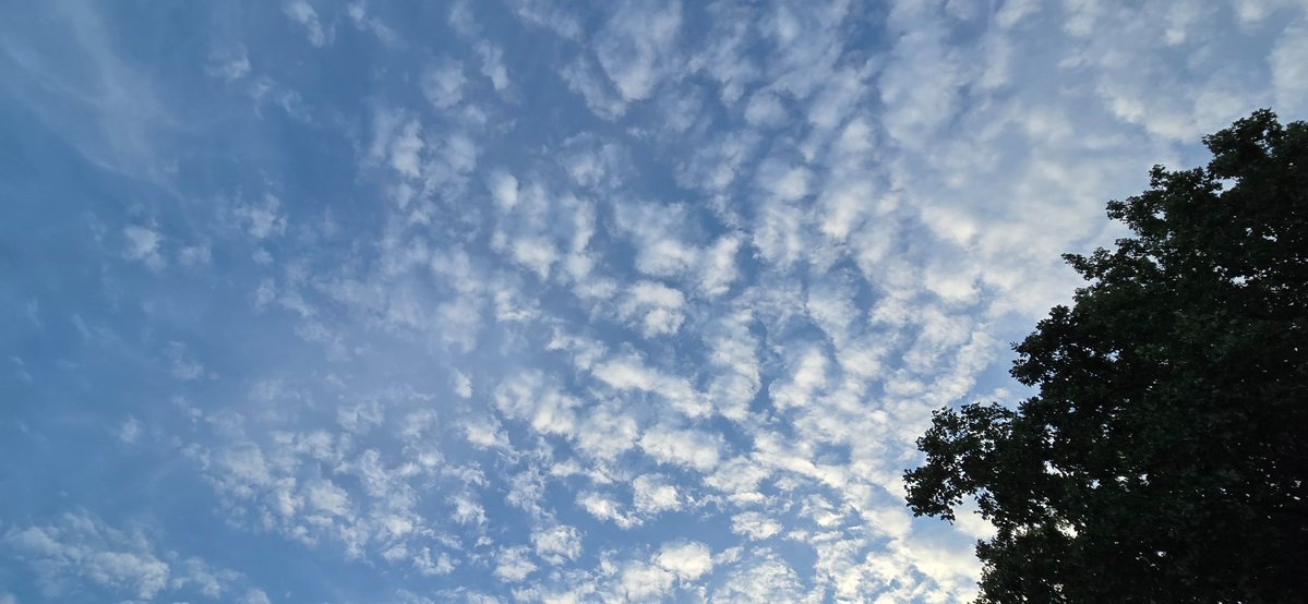 BryanM07091272's tweet image. Good morning 😊🤙
Happy Saturday ☕️🎶🔆🌻☁️📷🫶
The day will be gone before you know it. Make the most of it 😉