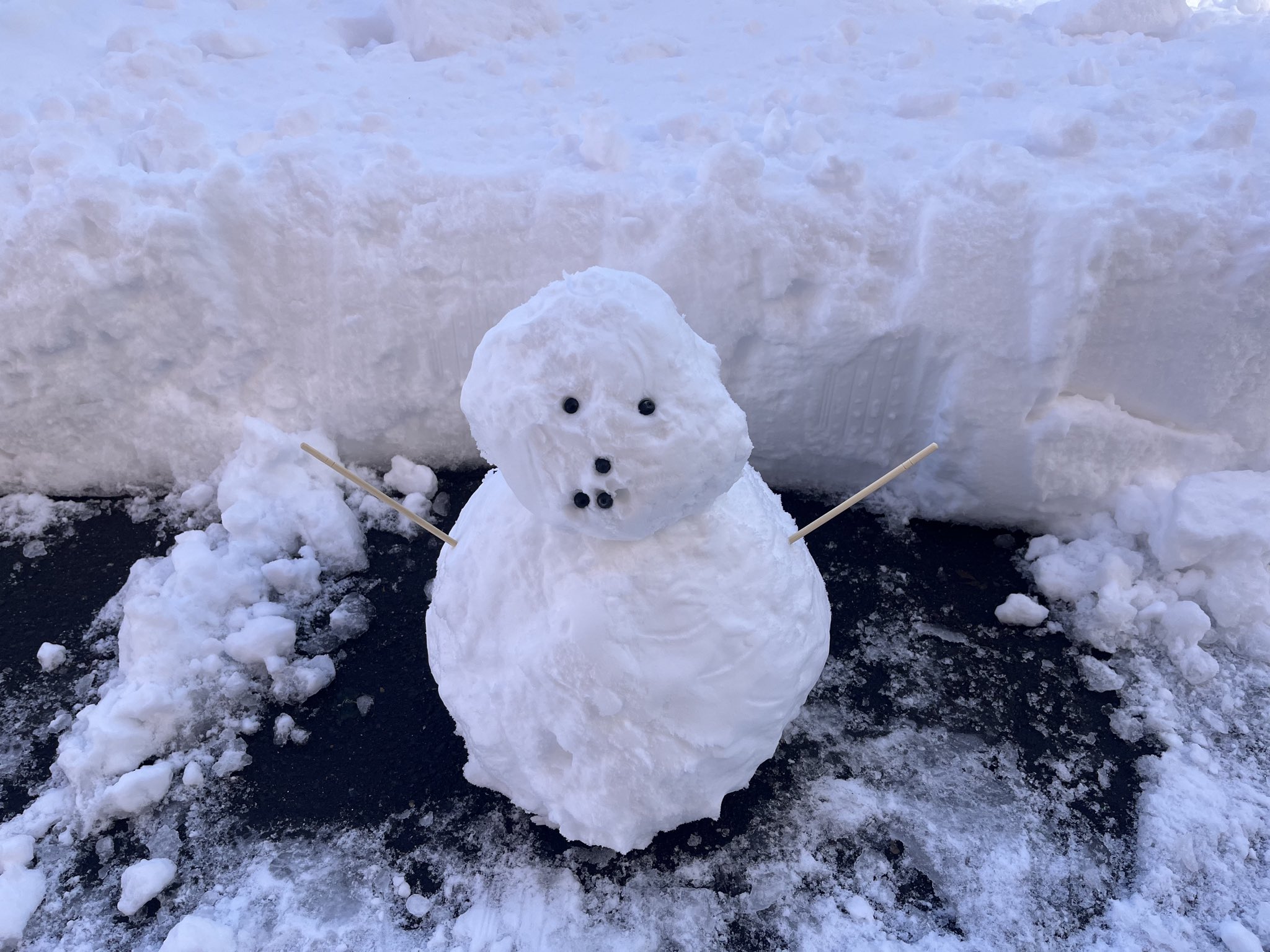 雪だるま樣 カヤ】高崎だるま / 雪だるま（フィギュア）｜カヤ（カヤ）の