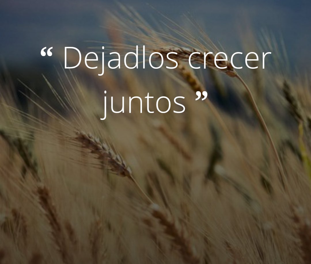 Hasta la siega. 

Mateo 13