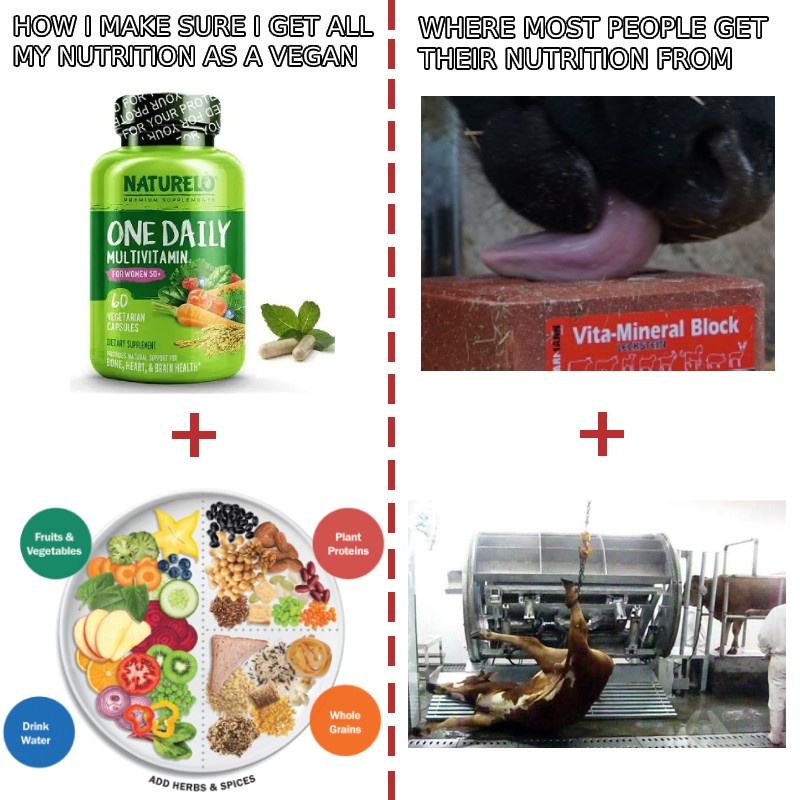 VeganPostMortem's tweet image. Let the anti-supplement crowd come for me, I'm ready.