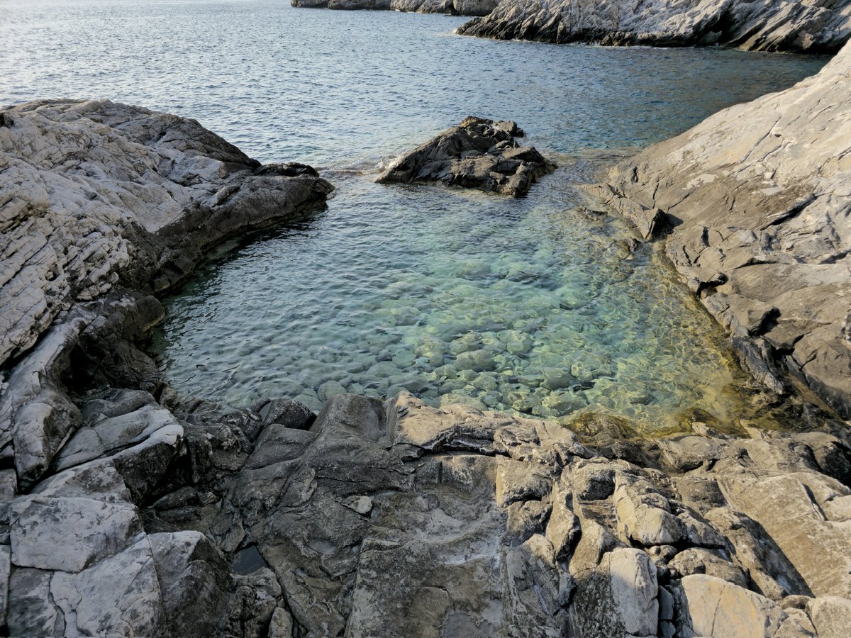 Theodore8B's tweet image. rock pool