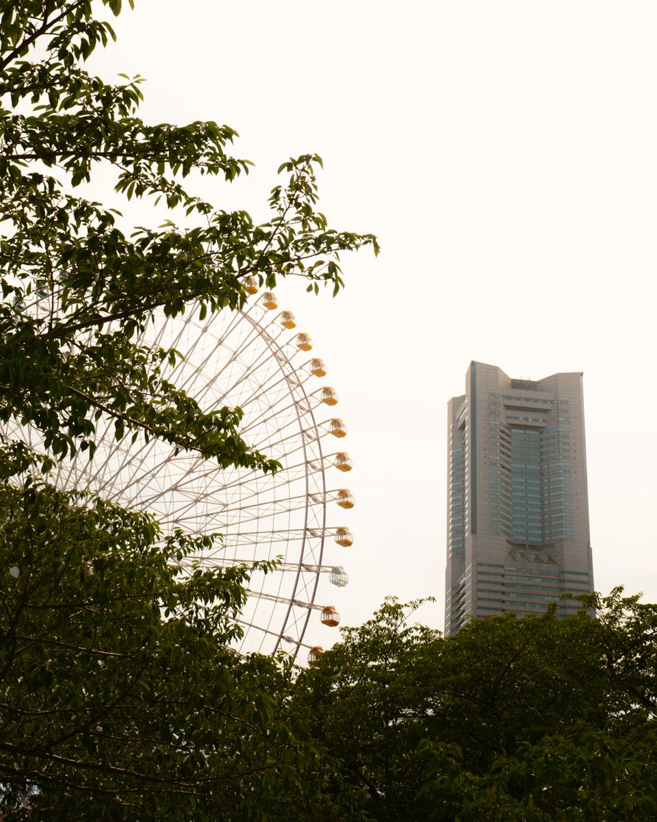 koo_97_pic's tweet image. 夏のスナップが好き。