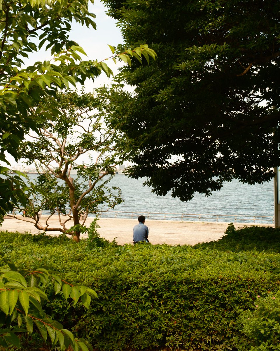 koo_97_pic's tweet image. 夏のスナップが好き。