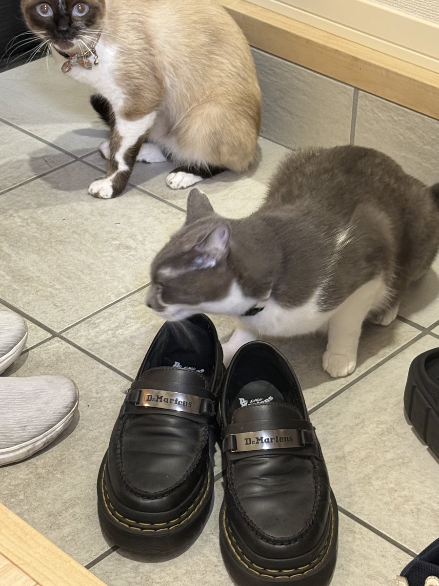 Recorine_F's tweet image. 靴スリスリw