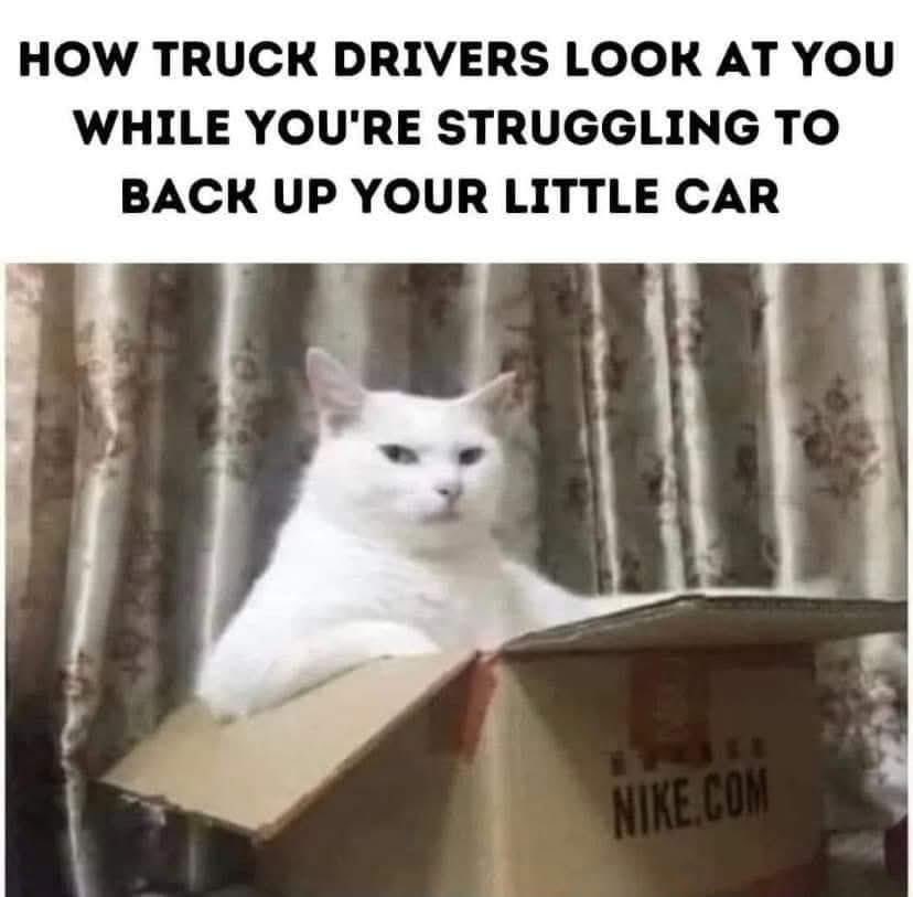 ProfitMoneyBeat's tweet image. i used to drive trucks. get your shit together