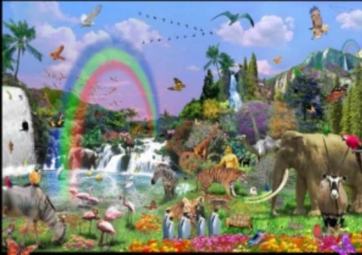 EnchantedDollar's tweet image. The paradise