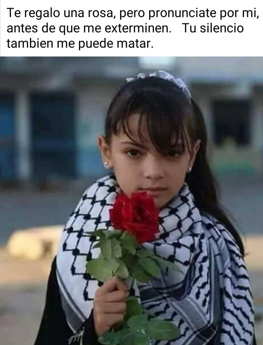 Vicente Leal 🇨🇺🇵🇸🇧🇷🇻🇪🇳🇮 (@vicente73977721) on Twitter photo No más infancia bombardeada. No más infancia bombardeada.