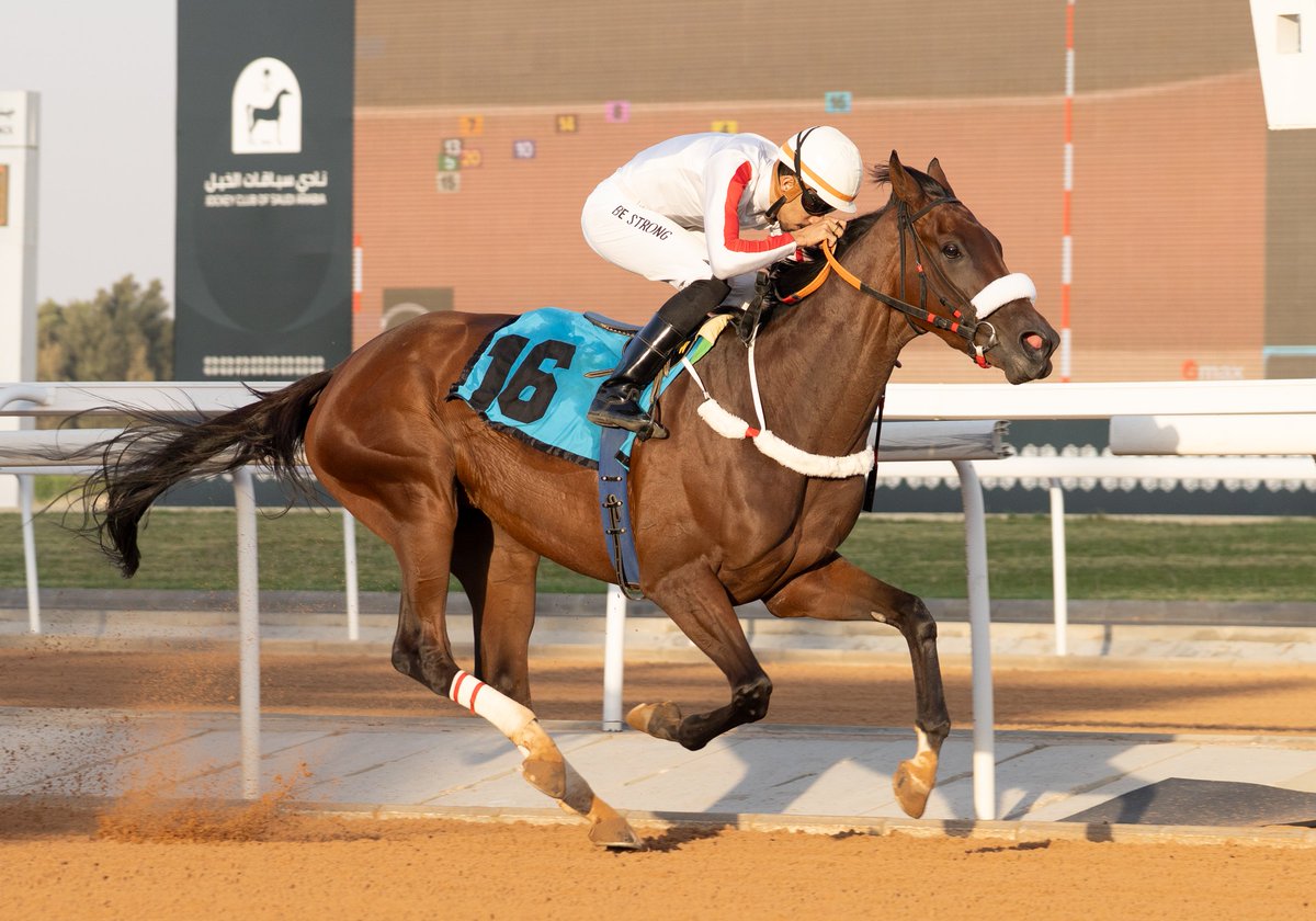 JCSA_Racing's tweet image. Congratulations to King Abdullah bin Abdulaziz & Sons' impressive TAZHAABHA, ridden by Fawaz Wannas for trainer Bader Rizaiq to victory in Race 6. #SaudiRacing #TaifSeason