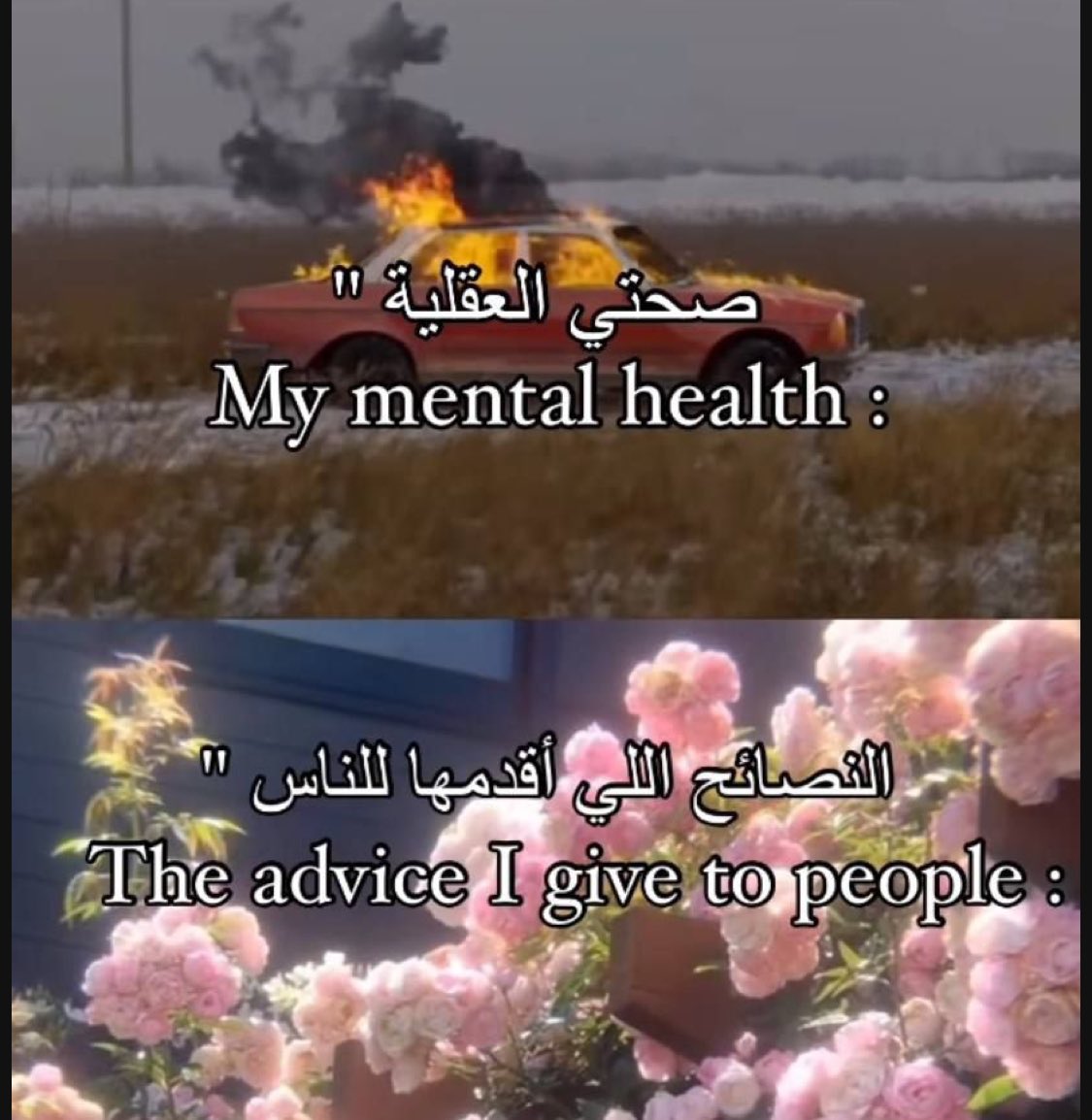 هل انت عبيط! |كود نايس ون Mo7 (@egyptianmemees) on Twitter photo 